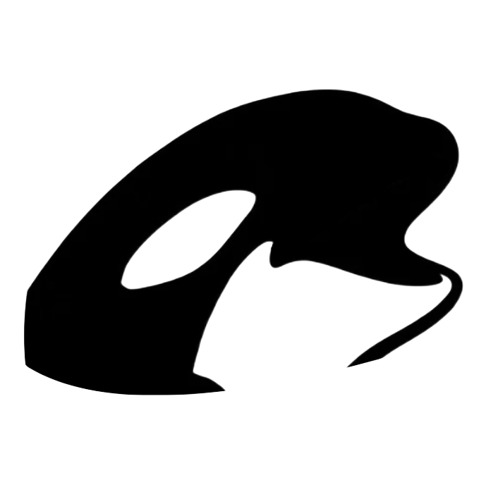 Orca logo